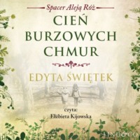 Edyta Świętek. Cień burzowych chmur