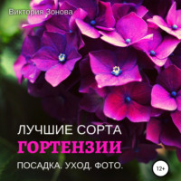 . Гортензии. Лучшие сорта