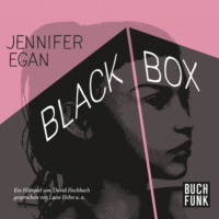 Jennifer  Egan. Black Box