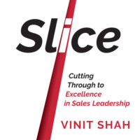 Vinit Shah. Slice (Unabridged)