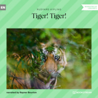 . Tiger! Tiger! (Unabridged)