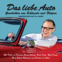 Hermann Harry Schmitz. Das liebe Auto - Geschichten von Sch?sseln und Flitzern (ungek?rzt)