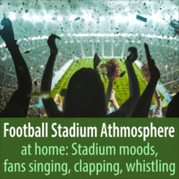 Todster. Football Stadium Athmosphere at Home: Stadium Moods, Fans Singing, Clapping, Whistling