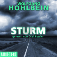 Wolfgang Hohlbein. Sturm (Gek?rzt)
