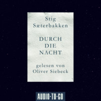 Stig Saeterbakken. Durch die Nacht (Ungek?rzt)