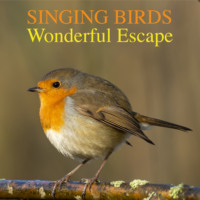 Ben Jasper. Singing Birds -Wonderful Escape (Nature Sounds To Reduce Stress And Well Being)