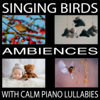 Pat Barnes. Singing Birds (With Calm Piano Lullabies)