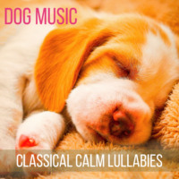 Pet Jones. Dog Music (Classical Calm Lullabies for Your Pets)