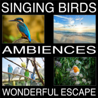 Pat Barnes. Singing Birds Ambiences, Wonderful Escape