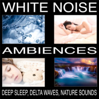 Pat Barnes. White Noise Ambiences, Delta Waves, Deep Sleep, Nature Sounds