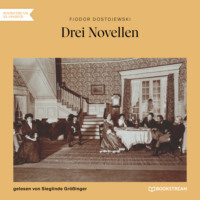 Fjodor Dostojewski. Drei Novellen (Ungek?rzt)