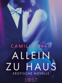 Allein zu Haus - Erotische Novelle