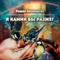 Роман Айзенштат. Я камин бы разжег