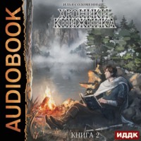 Илья Соломенный. Странник