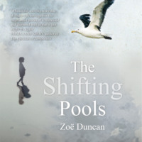 Zoe Duncan. The Shifting Pools (Unabridged)