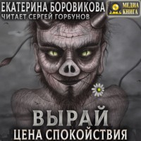 Екатерина Боровикова. Вырай. Цена спокойствия