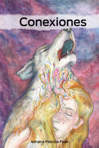 Conexiones
