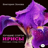 . Ирисы. Лучшие сорта