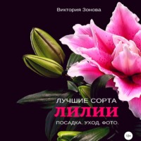 . Лилии. Лучшие сорта