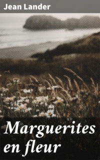 Marguerites en fleur
