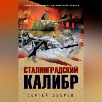 Сергей Зверев. Сталинградский калибр