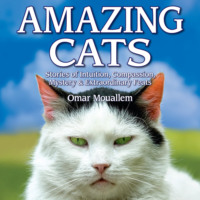 Omar Mouellam. Amazing Cats - Stories of Intuition, Compassion, Mystery & Extraordinary Feats (Unabridged)