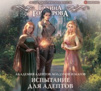 . Академия адептов, колдунов и магов. Испытание для адептов