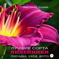 . Лилейники. Лучшие сорта