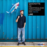 Quichotte. Die unertr?gliche Leichtigkeit des Neins