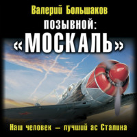 Валерий Петрович Большаков. Позывной: «Москаль». Наш человек – лучший ас Сталина