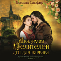 . Академия целителей. ДТП для варвара