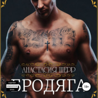 Анастасия Шерр. Бродяга