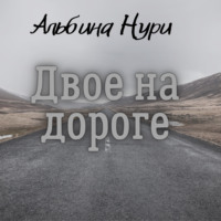 . Двое на дороге