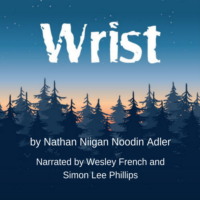 Nathan Niigan Noodin Adler. Wrist (Unabridged)