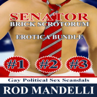 Rod Mandelli. Senator Brick Scrotorum Erotica Bundle (Unabridged)
