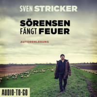 Sven Stricker. S?rensen f?ngt Feuer - S?rensen ermittelt, Band 2 (ungek?rzt)