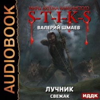 Валерий Шмаев. Лучник (свежак)