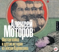 Алексей Моторов. Шестая койка и другие истории из жизни Паровозова