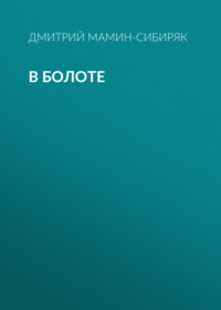 Дмитрий Мамин-Сибиряк. В болоте