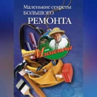 Николай Звонарев. Маленькие секреты большого ремонта