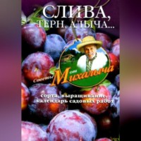 Николай Звонарев. Слива, терн, алыча... Сорта, выращивание, календарь садовых работ