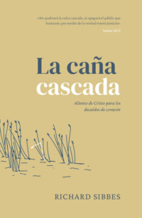 La caña cascada