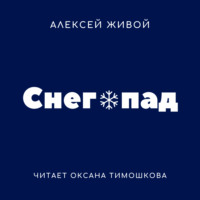 . Снегопад