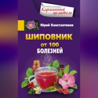 Юрий Константинов. Шиповник. От 100 болезней