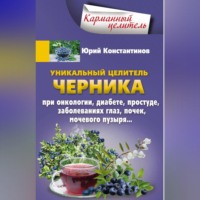 Юрий Константинов. Уникальный целитель черника. При онкологии, диабете, простуде, заболеваниях глаз, почек, мочевого пузыря…
