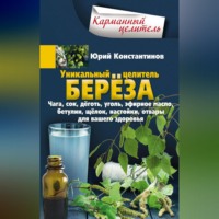 Юрий Константинов. Уникальный целитель берёза. Чага, сок, дёготь, уголь, эфирное масло, бетулин, щёлок, настойки, отвары для вашего здоровья