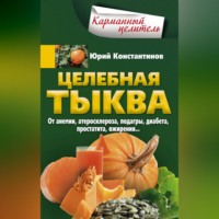. Целебная тыква. От анемии, атеросклероза, подагры, диабета, простатита, ожирения…