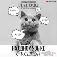 Елена Клюсовец. На одном языке с кошкой