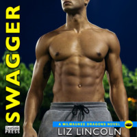 Liz Lincoln. Swagger - Milwaukee Dragons 2 (Unabridged)