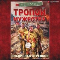 Владислав Стрелков. Тропой мужества
